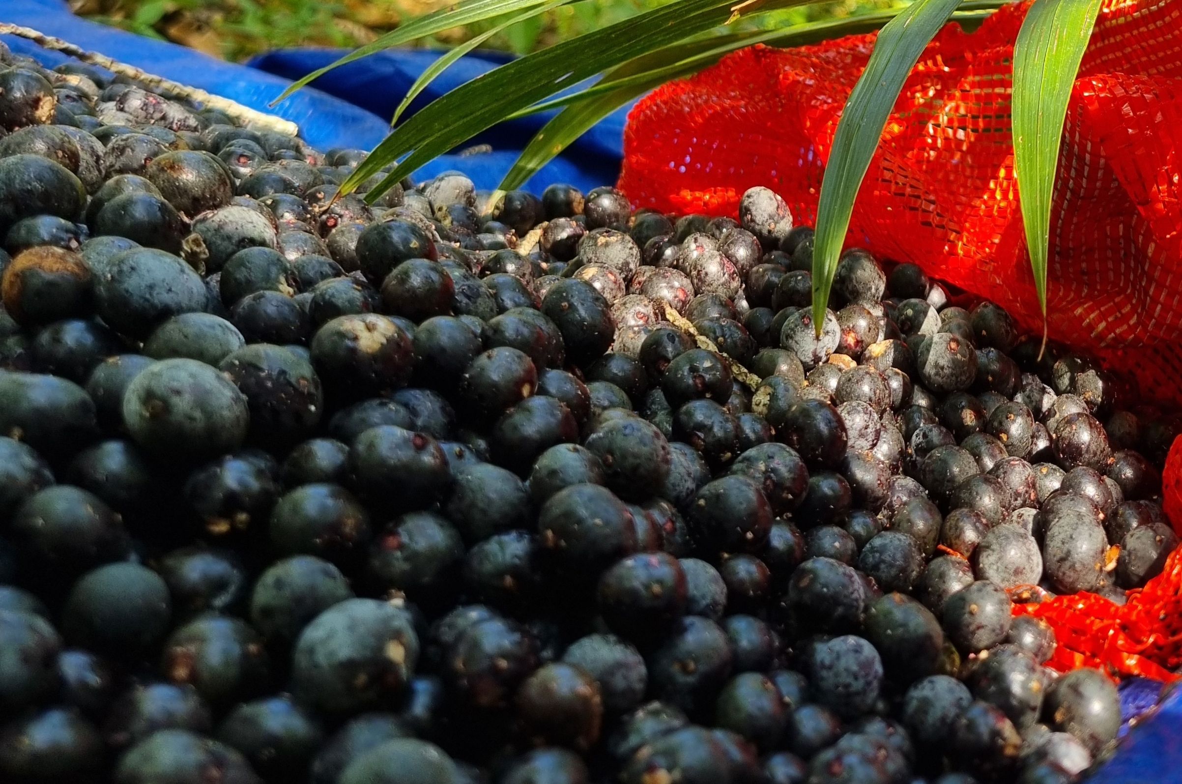 Digitalizado_20240917-2231-08