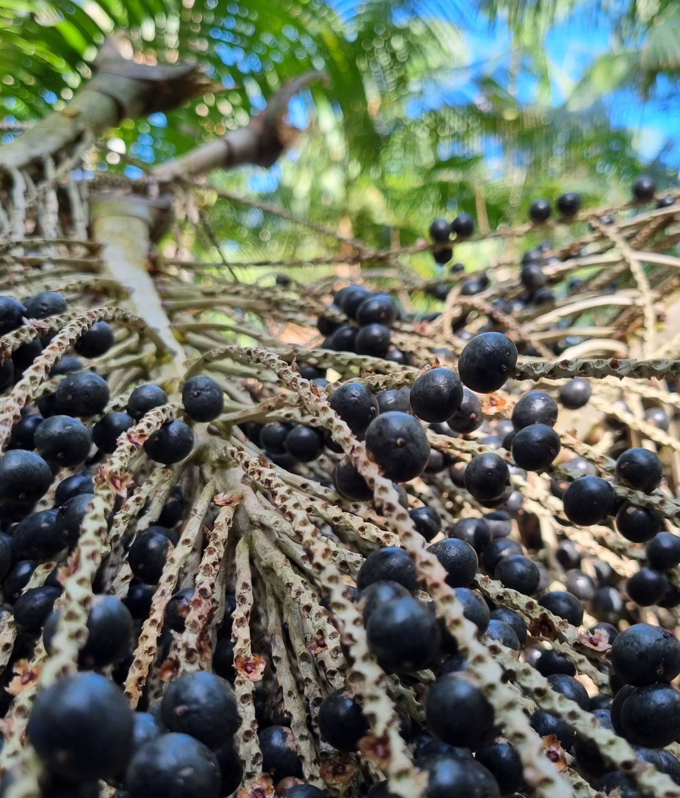 Digitalizado_20240917-2231-17