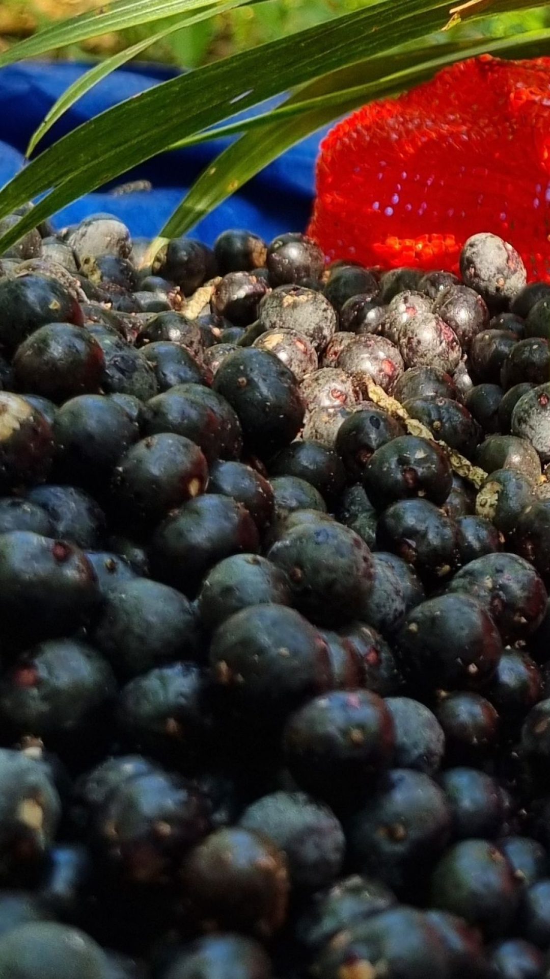 Digitalizado_20240917-2231-08