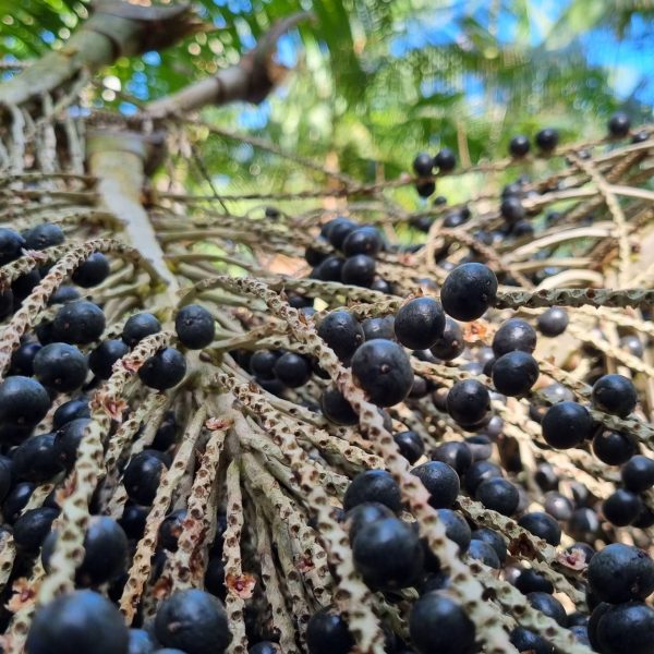 Digitalizado_20240917-2231-17